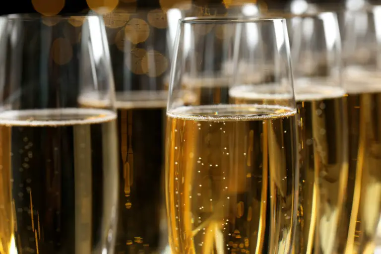 Sparkling Wine for Beginners (Everything You Need to Know)